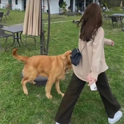 傀儡人生